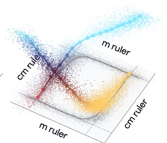 Distance-to-target rulers